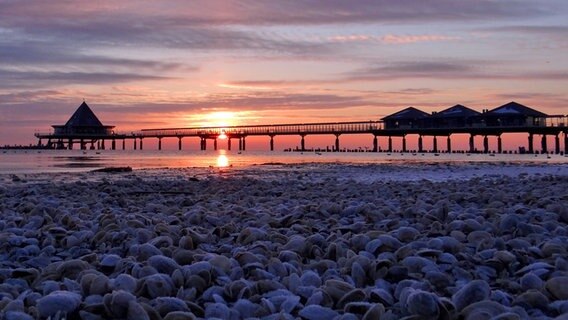 Sonnenaufgang am Muschel-Strand von Heringsdorf © NDR Foto: Peter Heydemann aus Sassnitz