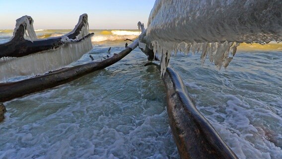 Äste mit Eisschicht ragen in die Ostsee. © NDR Foto: Werner Bayer aus Neubrandenburg