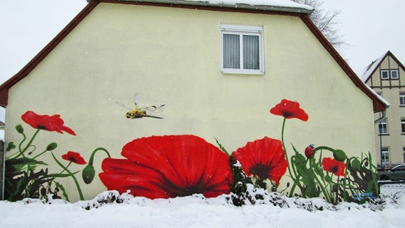 Malerei an Hauswand mit Mohnblumen und einer Libelle. © NDR Foto: Harry Kidrowski aus Stralsund