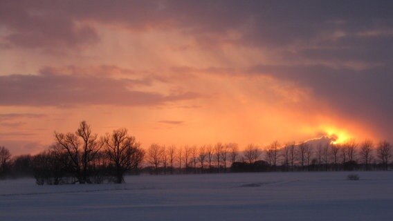roter Sonnenuntergang im Schneegestöber © NDR Foto: Anke Wrackmeyer aus Thesenvitz