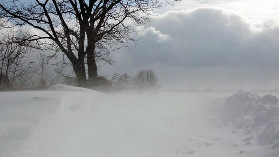 Ein Schneesturm zwischen Loddin und Ückeritz © NDR Foto: Stephanie Turzer aus Loddin