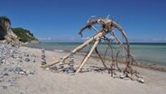 Ist das die Karibik? Nein, Dagmar Jaschen aus Bestensee war auf Hiddensee. © NDR Foto: Dagmar Jaschen aus Bestensee