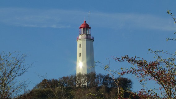 Leuchtturm auf Hiddensee im Sonnenschein © NDR Foto: Gerald Schneider aus Kloster