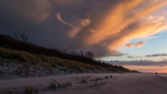 Sonnenuntergang über Dünen am Ostseestrand auf dem Darß © NDR Foto: Diana Klawitter aus Datzetal