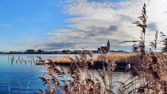 Blick auf Barth über die Ostsee © NDR Foto: Marion Schmidt aus Barth