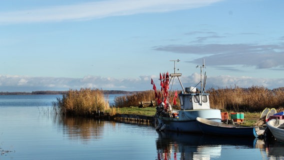 Fischerboot liegt an einem Steg mit Blickrichtung Barther Bodden © NDR Foto: Marion Schmidt aus Barth