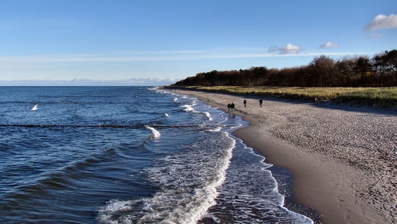 Spaziergänger am Ostseestrand © NDR Foto: Anne-Katrin Dorst aus Stralsund