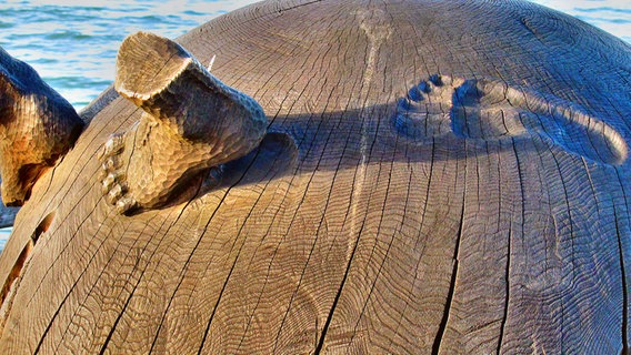 Holzkugel auf der ein Kinderfuß aus Hol eine Fußspur hinterlässt. © NDR Foto: Anne-Katrin Dorst aus Stralsund