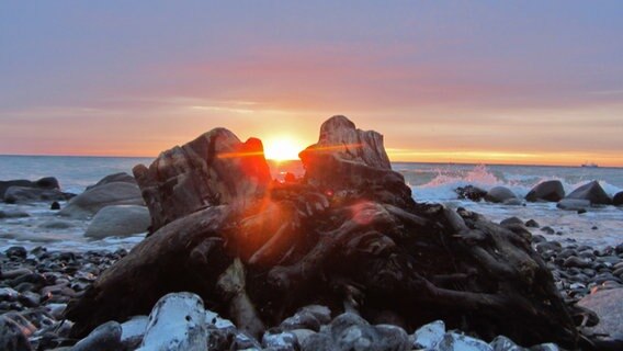 Sonne geht am Horizont der Ostsee auf und wird durch ein Loch in einer Wurzel betrachtet. © NDR Foto: Jürgen Lorenz aus Stralsund