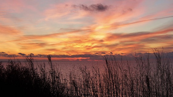 Sonnenuntergang am Hohen Ufer am Strand von Ahrenshoop/Fischland © NDR Foto: Kerstin Kühl aus Pantlitz