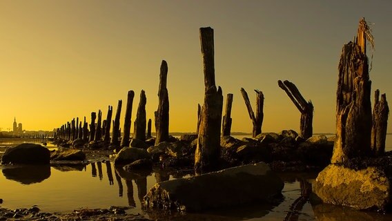 Alte Buhnen bei Sonnenuntergang © NDR Foto: Dirk Auerbach aus Stralsund