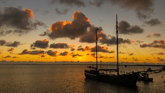 Sonnenaufgang am Bodden auf Hiddensee © NDR Foto: Dagmar Jaschen aus Bestensee