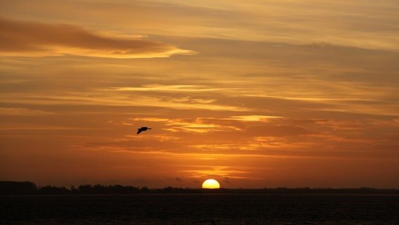 Sonnenaufgang © NDR Foto: Gerald Schneider aus Kloster/Hiddensee