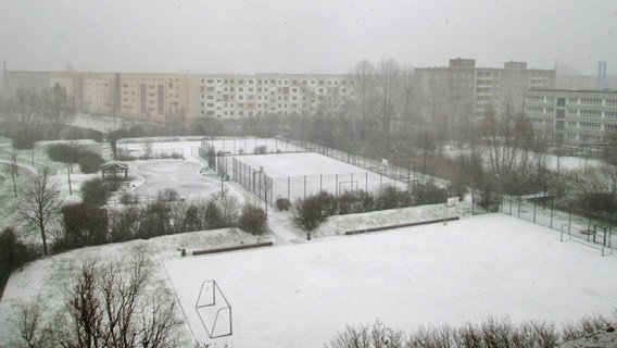 Schneebedeckte Sportplätze in Stralsund © NDR Foto: Harry Kidrowski aus Stralsund