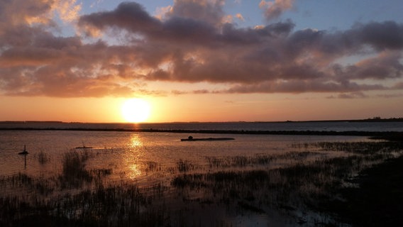 Sonnenaufgang über Hiddensee © NDR Foto: Gerald Schneider aus Kloster