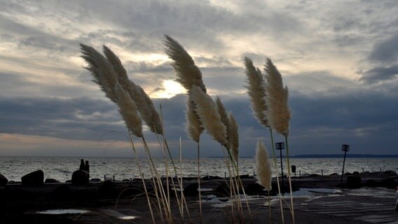 Promenade © NDR Foto: Max Bachmann aus Sassnitz