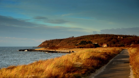 Hiddensee im Abendlicht © NDR Foto: Robert Ott von der Insel Hiddensee