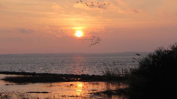 Sonnenaufgang über dem Bodden © NDR Foto: Gerald Schneider aus Kloster/Hiddensee