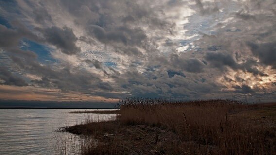 Wolken über dem Schilf © NDR Foto: Thomas Hausrath aus Rostock