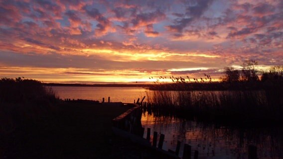 Sonnenaufgang © NDR Foto: Manfred Ewald aus Altwarp