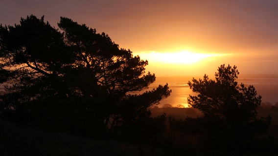 Sonnenaufgang © NDR Foto: Gerald Schneider aus Kloster/Hiddensee