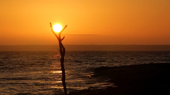Sonnenaufgang über der Ostsee © NDR Foto: Gerald Schneider aus Kloster