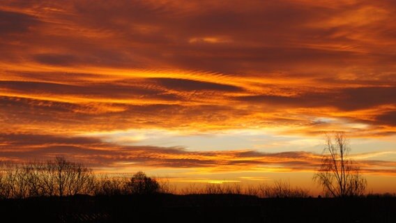 Morgenroter Himmel © NDR Foto: Detlef Matthias aus Greifswald