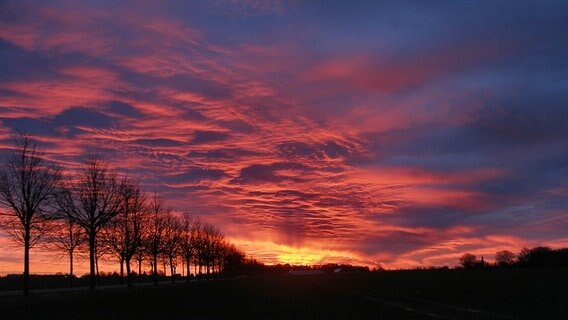 Sonnenaufgang über Pantlitz © NDR Foto: Jens Hrachovy aus Ahrenshagen