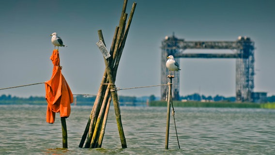 Zwei Möwen im Vordergrund - im Hintergrund eine Eisenbahn-Hubbrücke © NDR Foto: Ramona Will von der Insel Usedom