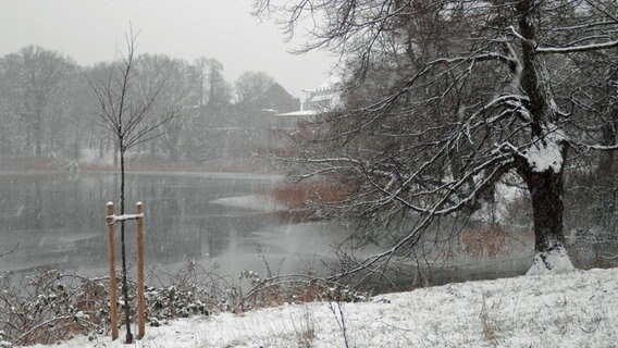 Winterliche Landschaft mit See und Schnee in Stralsund © NDR Foto: Marion Schultz aus Stralsund