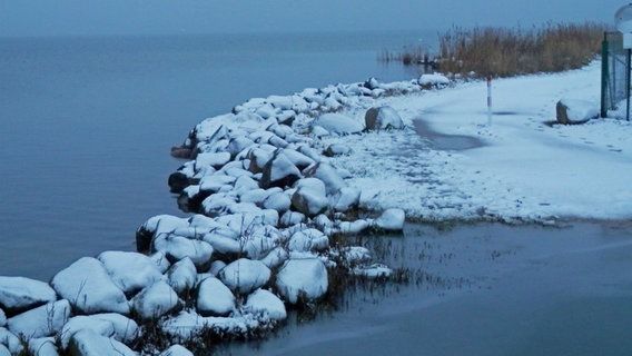 Steine am Ufer mit Schnee bedeckt © NDR Foto: Marion Schultz aus Stralsund