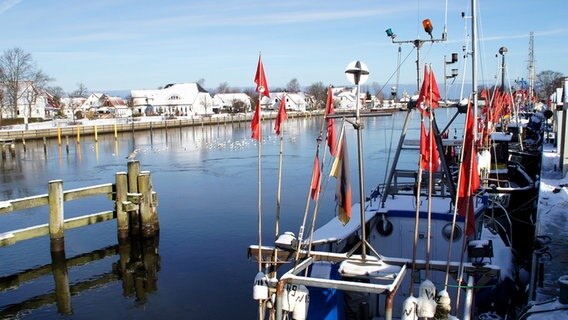 Wiecker Hafen im Sonnenschein © NDR Foto: Detlef Matthias aus Greifswald