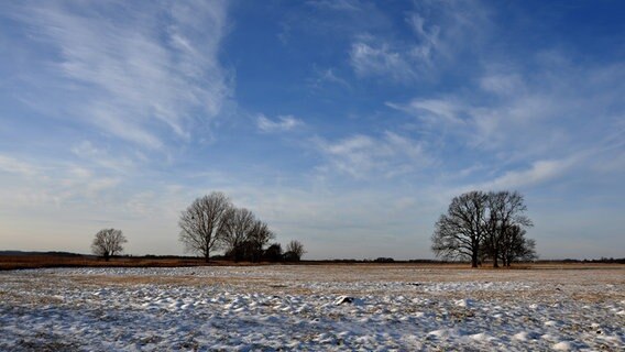 Landschaft im Sonnenschein © NDR Foto: Norbert Brandt aus Neubrandenburg