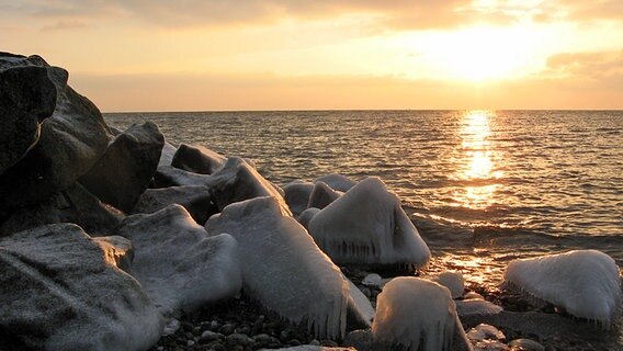 Steine am Strand von Hiddensee sind mit einer Eisschicht überzogen. © NDR Foto: Christine Arendt aus Kloster