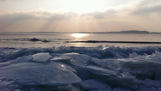 Eisschollen schieben sich auf den Strand im Naturschutzgebiet Gnitz. © NDR Foto: Beathe Topka aus Greifswald