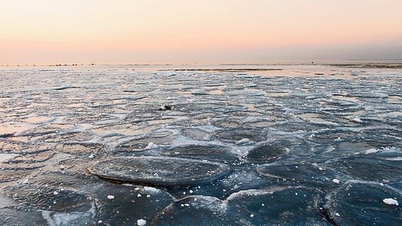 Eisschollen am Strand von Lubmin © NDR Foto: Uwe Mahler aus Lubmin