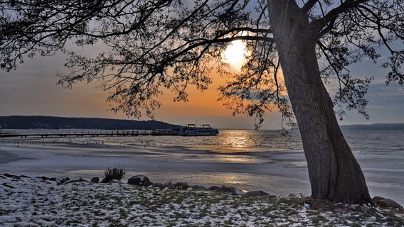 Das Ufer des Tollensesees in dämmerig-warmem Licht © NDR Foto: Günter Kamp aus Greifswald