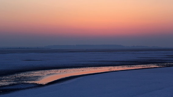 Morgenrot über dem Bodden © NDR Foto: Gerald Schneider aus Kloster
