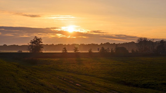 Sonnenuntergang über einer Wiese © NDR Foto: Günter Kamp aus Greifswald
