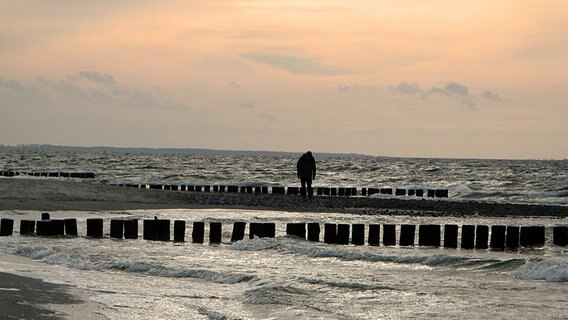 ein Spaziergänger am Strand von Hiddensee © NDR Foto: Christine Arendt aus Kloster
