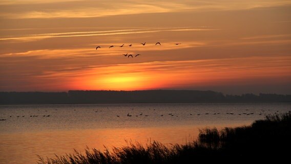 Sonnenaufgang auf Hiddensee © NDR Foto: Gerald Schneider aus Kloster auf Hiddensee