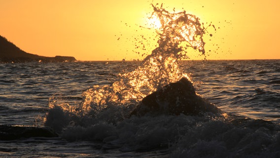 Eine Welle bricht an einem Stein im Wasser. © NDR Foto:  Gerald Schneider aus Kloster