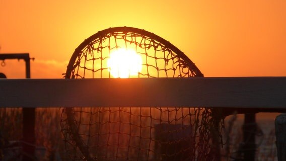 Sonne scheint durch ein Netz. © NDR Foto: Gerald Schneider aus Kloster
