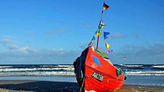 Boot liegt am Ostseestrand © NDR Foto: Norbert Brandt aus Neubrandenburg