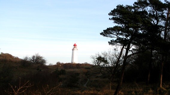 Der Leuchtturm auf Hiddensee © NDR Foto: Christine Arendt aus Kloster Hiddensee