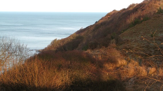 Blick in eine Schlucht © NDR Foto: Christine Arendt Kloster Hiddensee