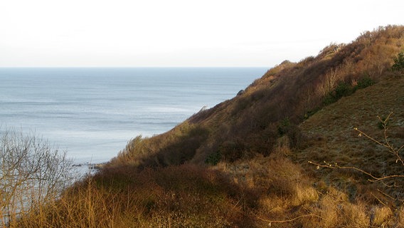 Blick in eine Schlucht auf Hiddensee. © NDR Foto: Christine Arendt aus Kloster/Hiddensee