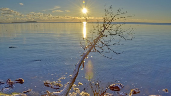 Der Sonnenaufgang spiegelt sich in der glatten Ostsee. © NDR Foto: Dietmar Henke aus Samtens