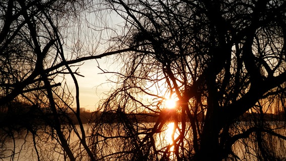 Sonnenaufgang über einem Teich © NDR Foto: Marion Schultz aus Stralsund
