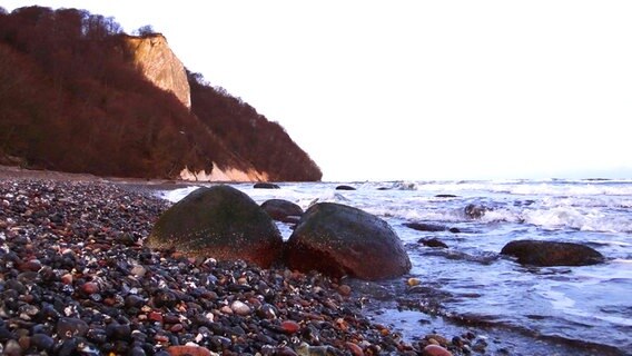 Kreidefelsen auf Rügen © NDR Foto: Peter Heydemann aus Sassnitz